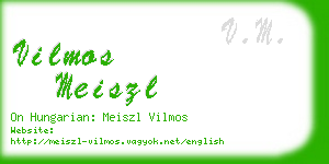 vilmos meiszl business card